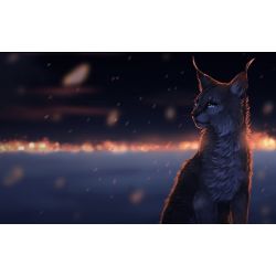 What Warrior Cats Character Are You? ARC 1 - Quiz