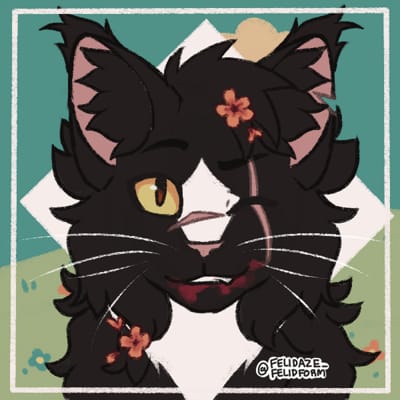 felidaze's cool cat creator｜Picrew