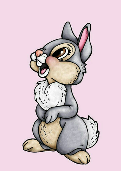 Bunny | Quotev