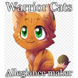 Warrior cats stuff