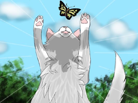 Снежок коты воители
