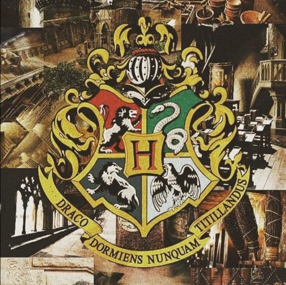 Your Hogwarts house Quiz Quotev