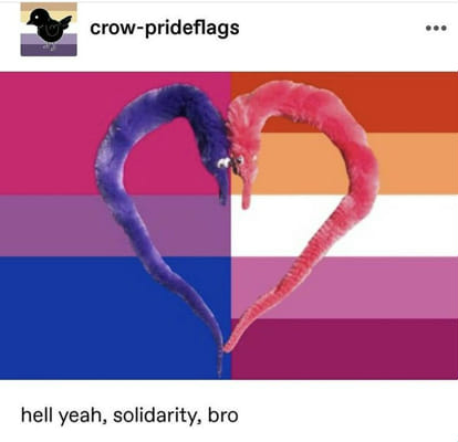 Are You Lesbian or Bisexual? - Quiz | Quotev