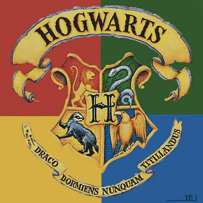 Who is your Hogwarts best friend? - Quiz | Quotev