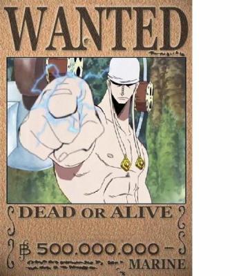 One Piece Quiz: What was the Bounty? - TriviaCreator
