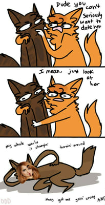 Ashfur Warrior  Warrior cats, Warrior cats fan art, Warrior cat memes