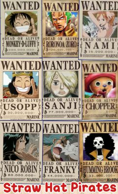 What character from one piece are you (ONLY LUFFY'S CREW MEMBERS ...