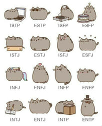 Nono MBTI Personality Type: INFP or INFJ?