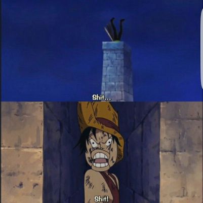 NAMI CRIES FOR LUFFY!!