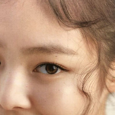 Animal Face Types - Quiz | Quotev