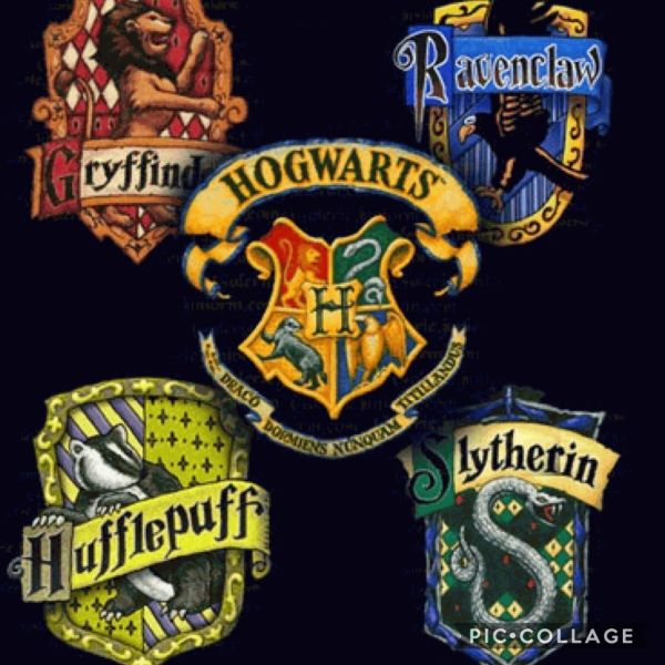 what-is-your-hogwarts-house-quiz-quotev