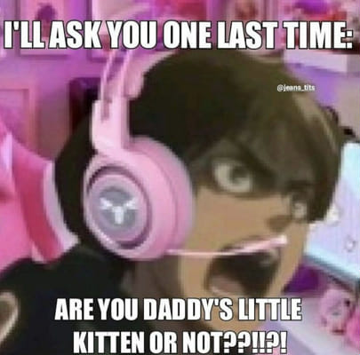 kitten  Kitten, Anime memes, Anime