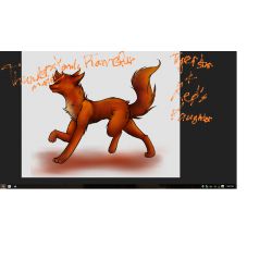 Are You Squirrelflight Warrior Cats Quiz Quotev