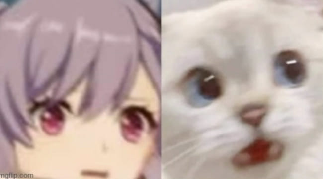Cursed images: Genshin impact edition - Quiz | Quotev