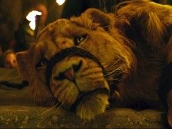 Meeting Aslan - Narnia: The Lion, The Witch and the Wardrobe 
