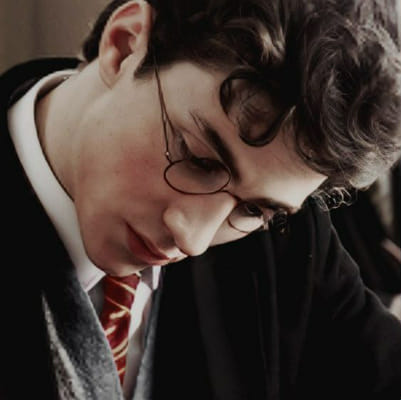 ☞James Fleamont Potter☜ | which harry potter character is obsessed with ...