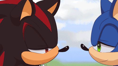 Do people ship Sonic and Shadow?