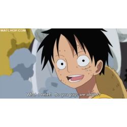 Dangers of Loving ( One piece x male reader)