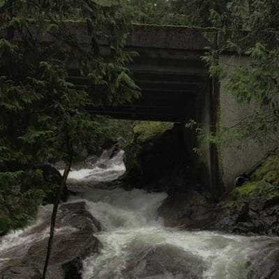 giving a song/character i kin from these questions - Quiz | Quotev