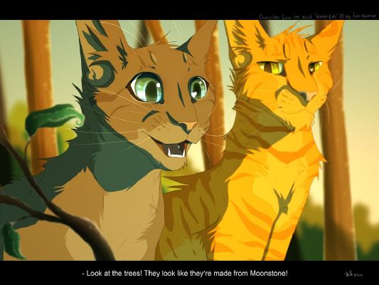 Warrior Cats Quiz: Which 1 of 10 Cats Is Same as You?