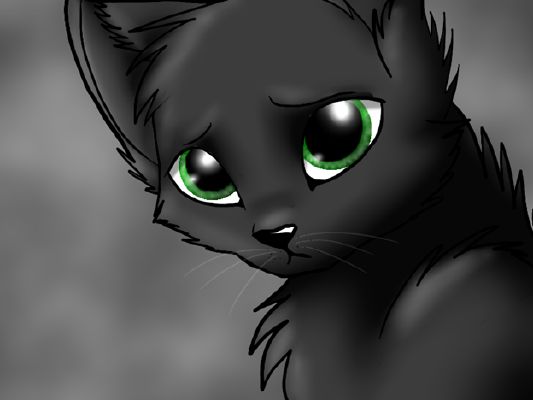 Warrior Cats What If's?