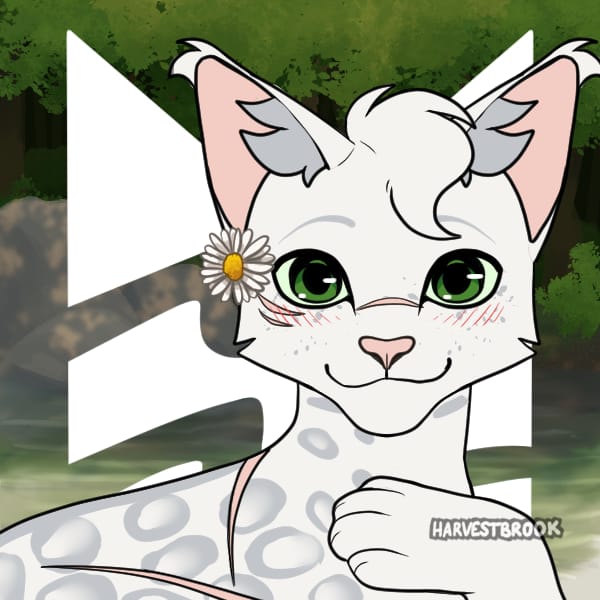 Your Warrior Cat Life! (Long Results) Quiz Quotev