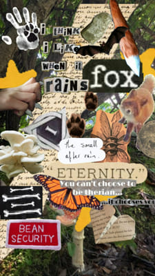 How much do you know about therians? - Test | Quotev