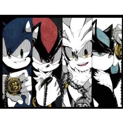 It's Called Life (Sonic x Reader x Shadow x Silver) [ON HOLD] - A