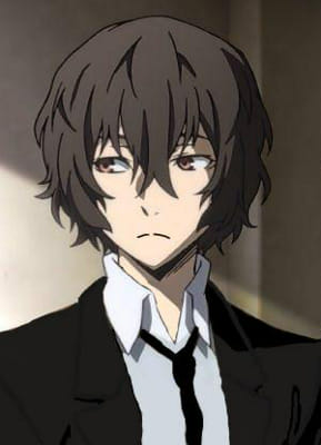 𝗠𝗶𝗿𝗿𝗼𝗿 𝗜𝗺𝗮𝗴𝗲 (BSD x Male OC) (HIATUS) | Quotev