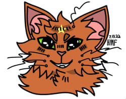 Warrior Cats Quiz: What Is My Warrior Cat Name?