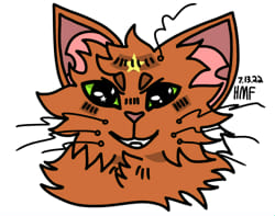 Warrior cats name quiz! : r/WarriorCats