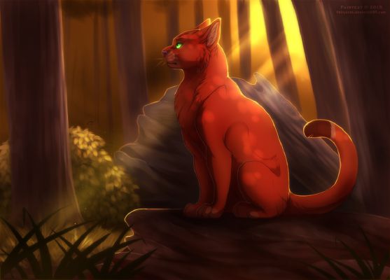 Firestar!!!!  Warrior cats art, Warrior cats books, Warrior cat