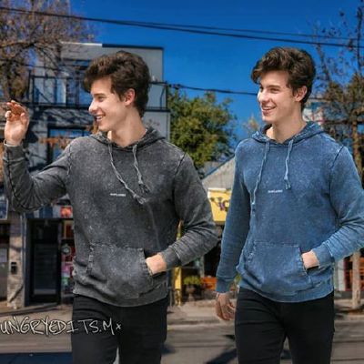 Shawn mendes hot sale grey sweatpants