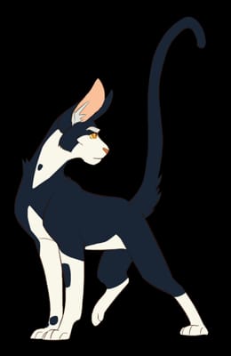 Test Your Knowledge On Warrior Cats Test Quotev