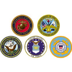 Which branch of the military do you belong in - Quiz | Quotev