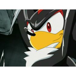 Shadow x reader (Sonic boom) Oneshot - Shadow x reader one-shot