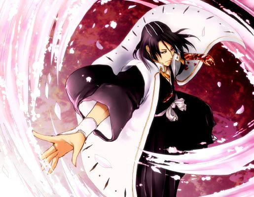 Kuchiki Byakuya1330257  Zerochan  Bleach anime Bleach anime art  Bleach fanart