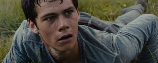 Thomas Enters The Maze [Maze Runner] 