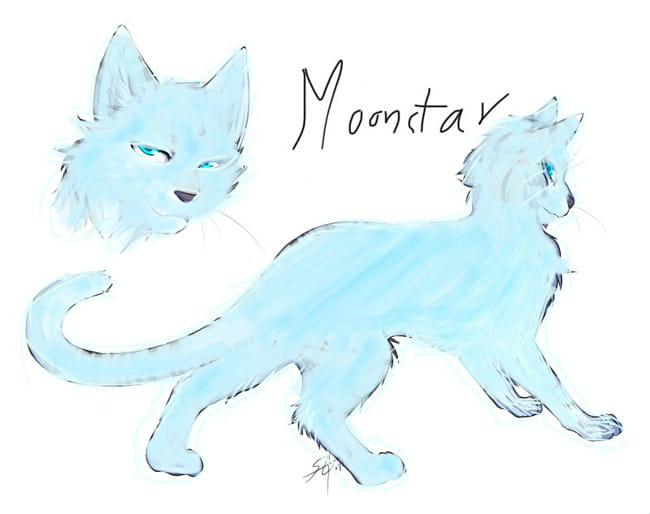 Warriors Quiz who is your mate? Quiz Quotev