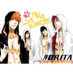 What Captain Is Your Bf/Gf (Bleach)? - ProProfs Quiz