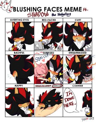 Fanart, Shadow the Hedgehog Protecc Squad!