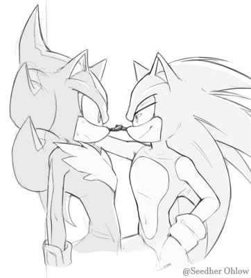 Shadow is laughing at Sonic, Shadow kinds looks happy.