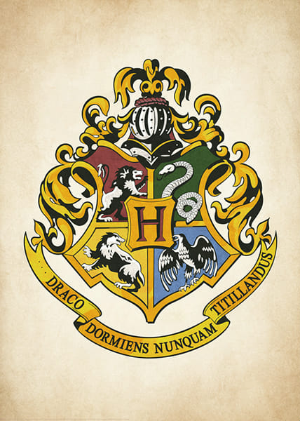 Hogwarts house quizzes be like: - Quiz | Quotev