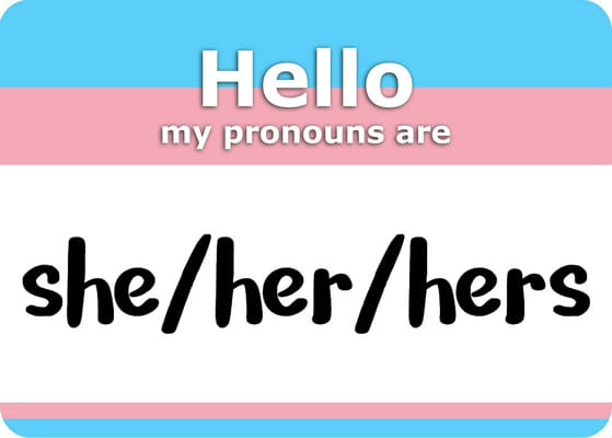 What Are Your Pronouns Answer