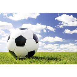 Click the Soccer/Football Postions Quiz - By xQuartexx