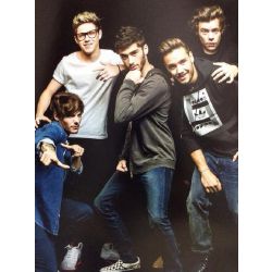 Your One Direction Lover Quiz Quotev