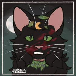 She-Cats - Inya's Warrior Cats