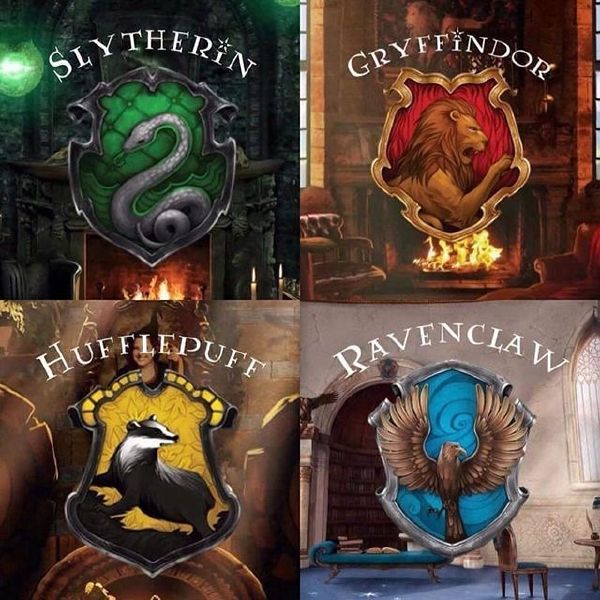 What is your Hogwarts house? Quiz Quotev