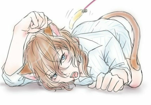 Neko Nakahara Chuuya x Top Male Reader Smut Male Characters x