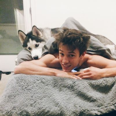 what happened to cameron dallas dog